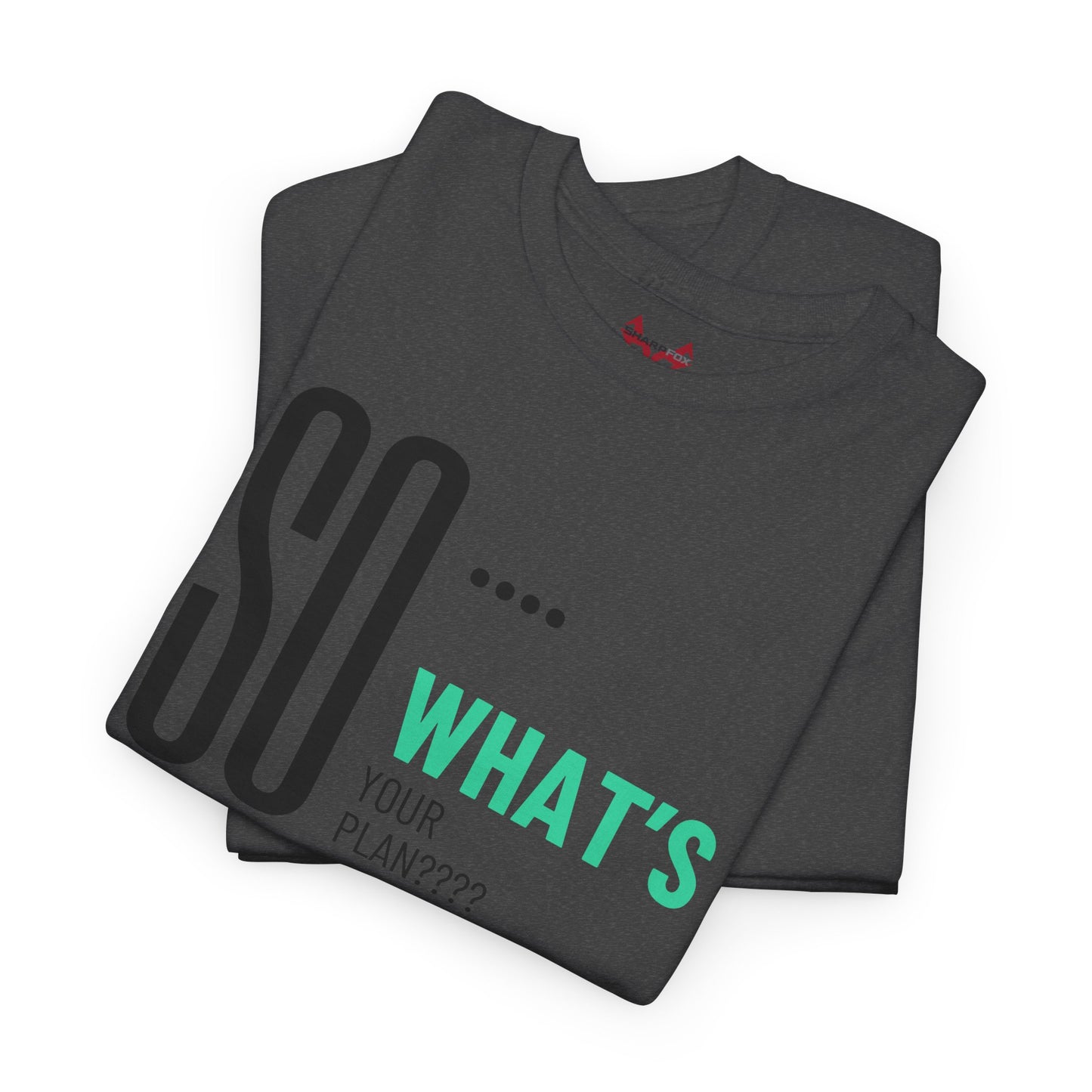 "So What's Your Plan?" Tee
