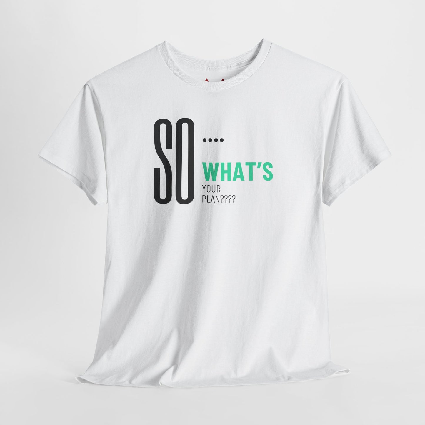 "So What's Your Plan?" Tee